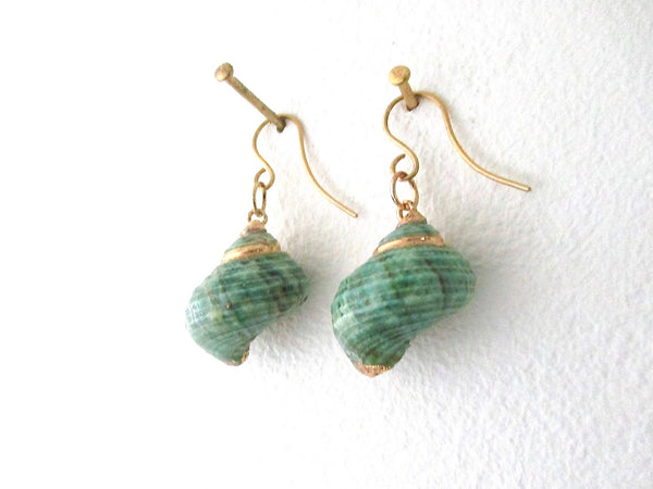 Aqua Green Turbo Shell Earrings Chunky Dangles with Gold Accents