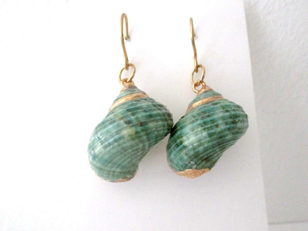 Aqua Green Turbo Shell Earrings Chunky Dangles with Gold Accents
